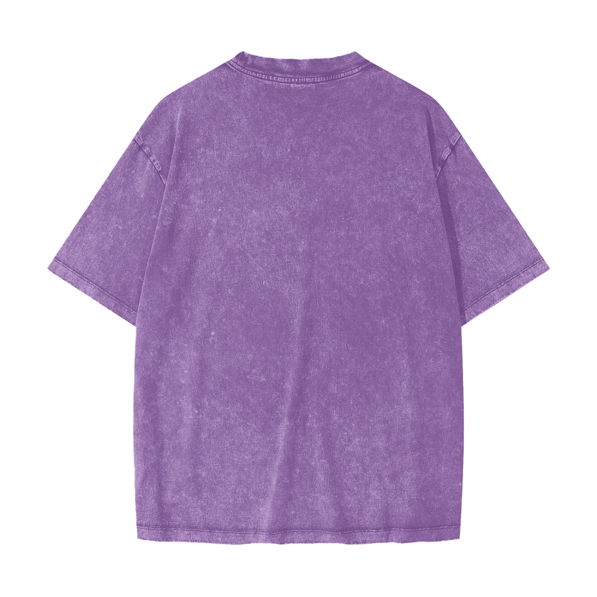 Surfer Heavyweight Snow Washed T-Shirt