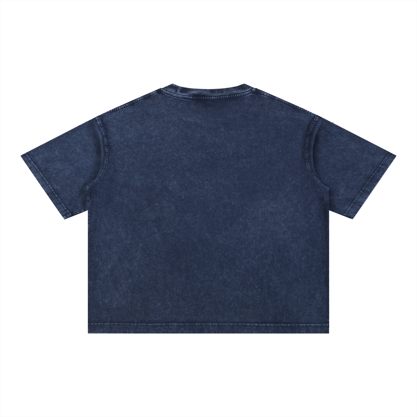 Gia Mineral Wash Boxy Cotton T-Shirt