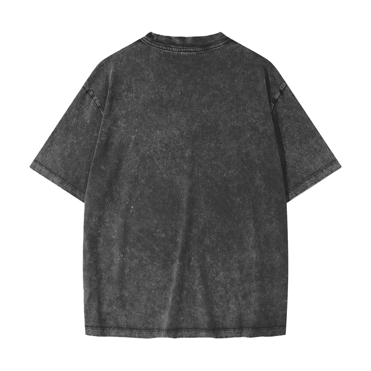 Surfer Heavyweight Snow Washed T-Shirt